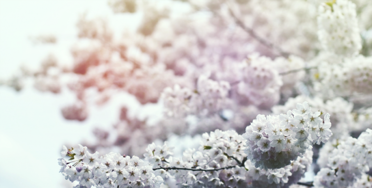 Welcome spring with an inspired side project